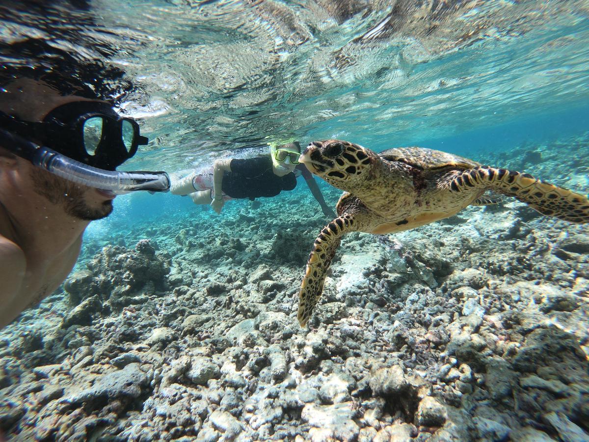 Villa Kudi Maldives Guest House スルスドゥー エクステリア 写真