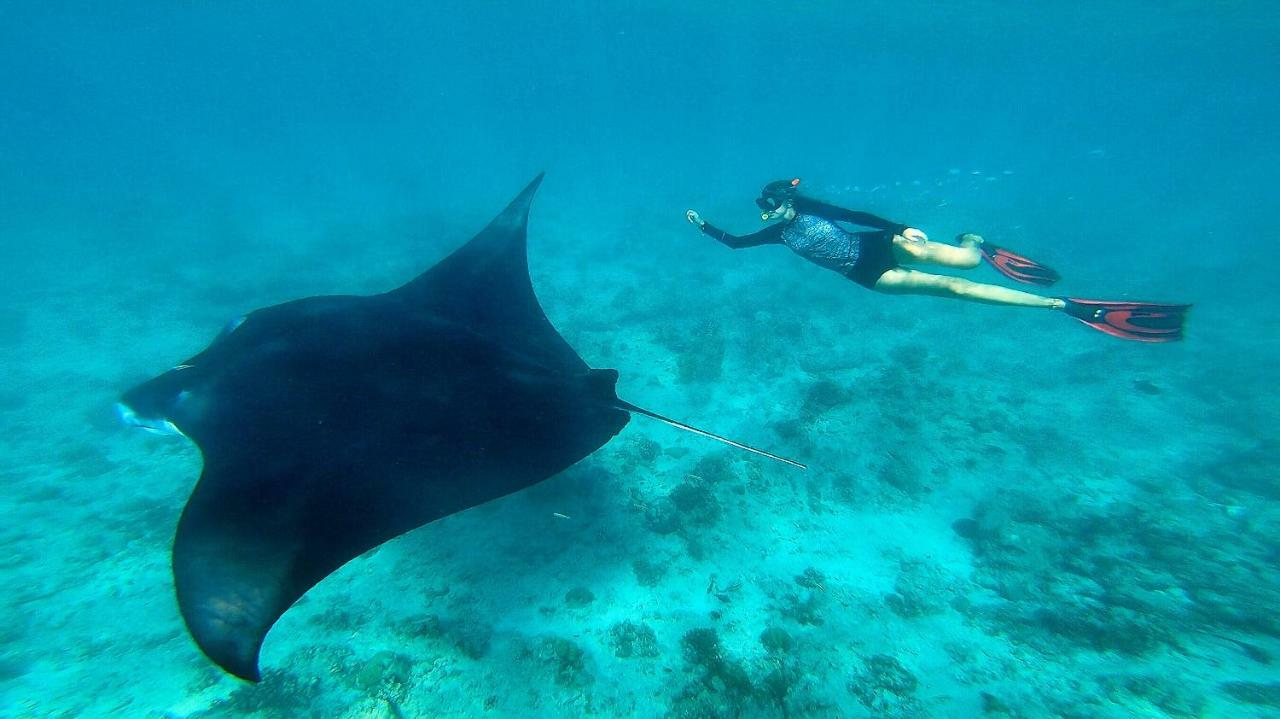 Villa Kudi Maldives Guest House スルスドゥー エクステリア 写真